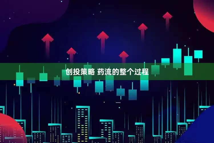创投策略 药流的整个过程